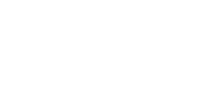 Bucha30 Software